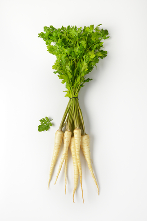 bunch of fresh parsley roots on white backgroundの写真素材