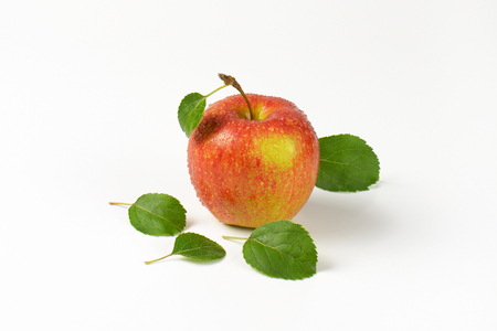 washed red apple with leaves on white backgroundの写真素材
