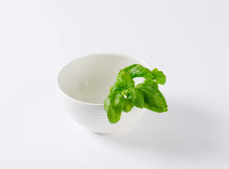 sprig of fresh basil in white bowlの写真素材