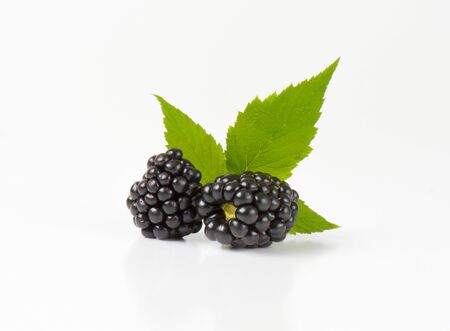Fresh ripe blackberries and leaves on white backgroundの写真素材