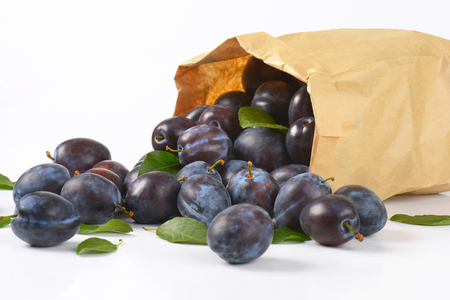 fresh damson plums in paper bagの写真素材