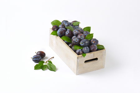 box of ripe plums on white backgroundの写真素材