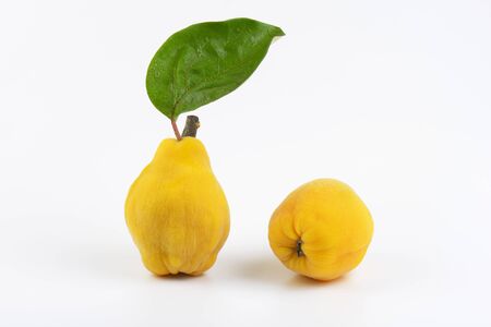 two yellow pears on white backgroundの写真素材