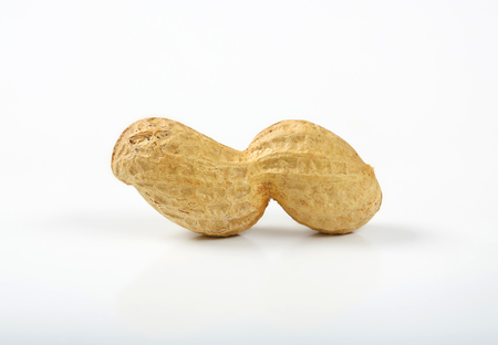 unpeeled peanut in shell on white backgroundの写真素材