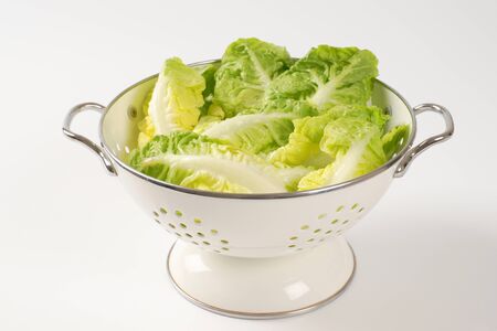 little gem lettuce in white colanderの写真素材