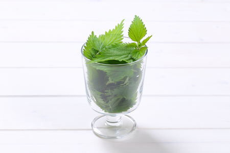 glass of fresh nettle leaves on white wooden backgroundの写真素材