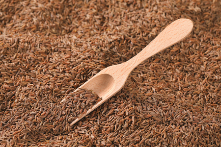 scoop of caraway seeds - full frameの写真素材