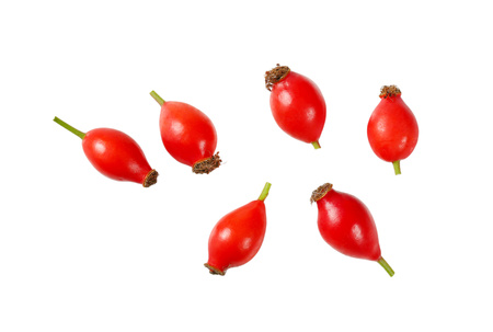 group of rose hips on white backgroundの写真素材