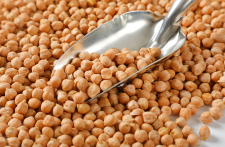 raw dried chickpeas and metal scoopの写真素材