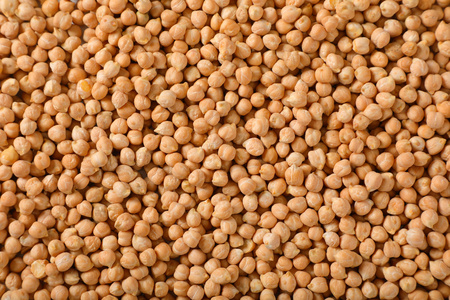 raw dried chickpeas as a texture backgroundの写真素材