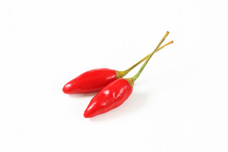 Two small red chili peppers on a white backgroundの写真素材