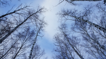 sky of russian winterの写真素材