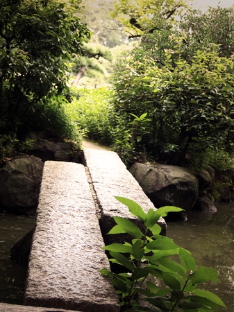Japanese Gardenの写真素材