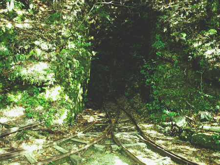 trails to nowhere, Yakushima, Japanの写真素材