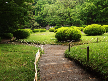 Japanese gardenの写真素材