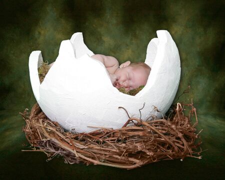 Fantasy Portrait Infant in Cracked Egg Nestの写真素材