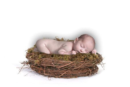 Infant Baby in Fantasy Bird Nestの写真素材