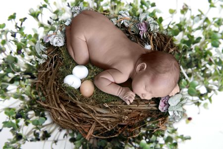 Newborn Sleeping atop Bird Nest With Eggsの写真素材