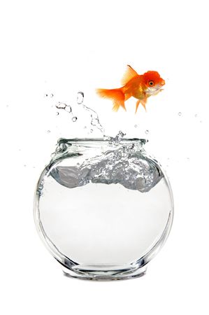 Goldfish Escaping His Aquariumの写真素材
