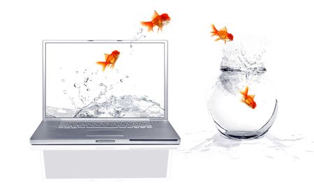 Jumping from the virtual world to the real world: Goldfish Escapeの写真素材
