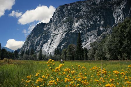 Beautiful View in Yosemite National Park With Man on Bicycleの写真素材