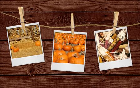 Thanksgiving Halloween Fall Images Hanging on a Rope 