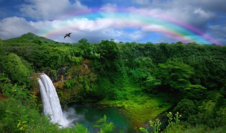 Waterfall in Kauai With Rainbow and Bird Overheadの写真素材