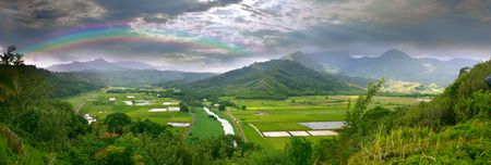 Panoramic Image of the Taro Fields in Kauai Hawaiiの写真素材