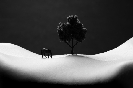 Image of a Woman's Stomach Transofrmed Into Landscape Artの写真素材