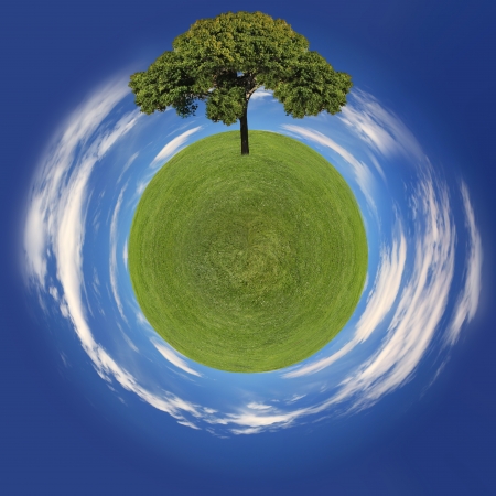 Eco Friendly Image of Grass Planet and Treeの写真素材