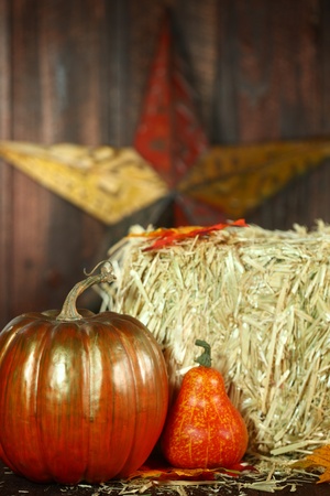Rustic Fall Themed Scene With Pumpkins on Wood Grunge の写真素材