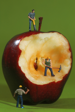 Miniature Construction Workers in Conceptual Imagery With an Appleの写真素材