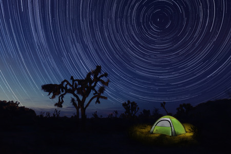 Tent Camping at Night in Joshua Tree Parkの写真素材