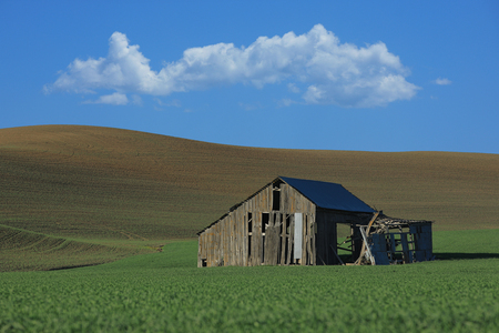 Abandoned Barn in Rural in Palouse Washington の写真素材