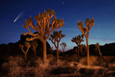 Night Sky Landscape Image of the Stars in the Universeの写真素材
