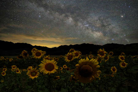 Night Sky Landscape Image of the Stars in the Universeの写真素材