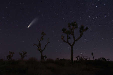 Night Sky Landscape Image of the Stars in the Universeの写真素材