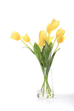 Bright and Colorful Yellow Tulips in a Glass Vaseの写真素材