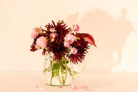 A wonderful Bouquet of autumn flowers as Dahlia Chat Noir and Rose Fairy in a green glass pitcher with a white/pink backgroundの写真素材