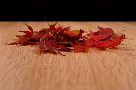 maple leaves on wooden floorの写真素材