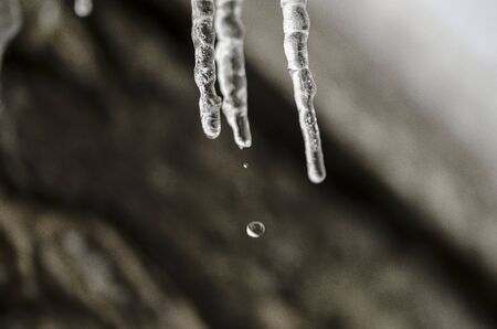 Ice stalattidi with water drop on a light gray backgroundの写真素材