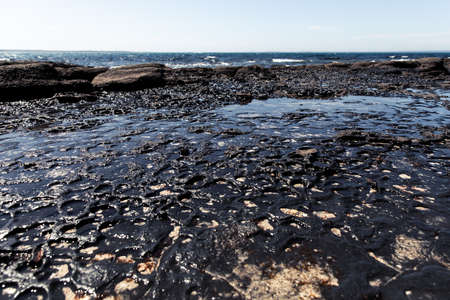 Rock platforms with rocks pools and the oceanの写真素材