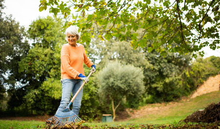 Mature woman wearing an orange sweater and gloves, raking fallen leaves in a garden during autumnの写真素材