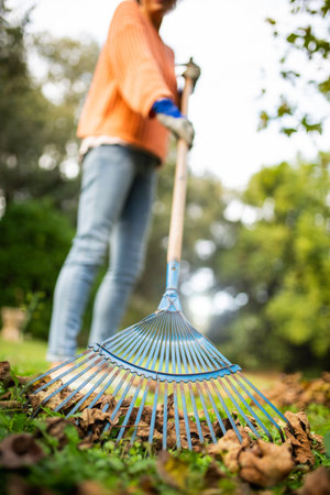 Close-up view of a blue garden rake in action, gathering fallen autumn leavesの写真素材