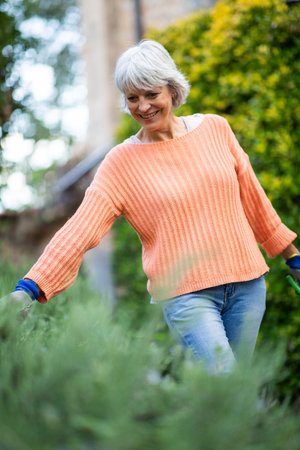 A senior woman with grey hair, dressed in an orange sweater and jeans, is walking through her garden while holding gardening toolsの写真素材