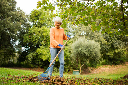 Elderly woman dressed in casual clothing raking fallen leaves in an autumn garden, surrounded by green trees and a lawnの写真素材