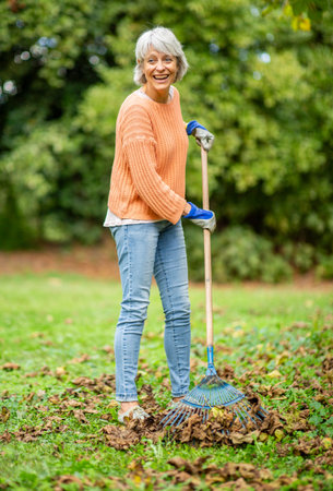 Senior woman with short gray hair wearing an orange sweater, jeans, and gardening gloves, smiling as she rakes fallen leaves in a gardenの写真素材