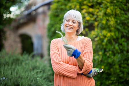 A senior woman with grey hair, dressed in an orange sweater and blue gardening gloves, smiles as she holds a sprig of freshly cut herbs in her gardenの写真素材