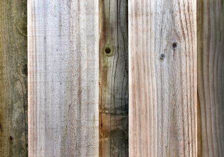 Wood Grain VI