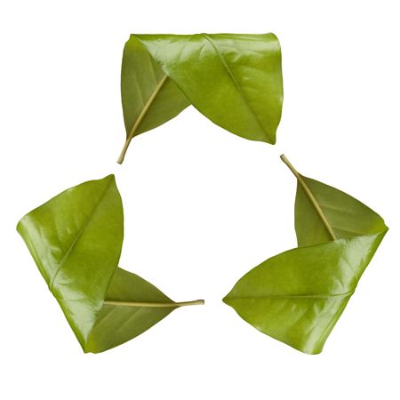 Recycle Symbol Made of Leaves